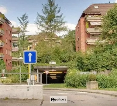 G&uuml;nstig Parken Zurigo foto 1