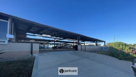 Sunlines Olbia Valet foto 1